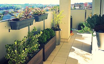 Venkovní terasy inspirace | Prosluněná terasa se spoustou rostlin